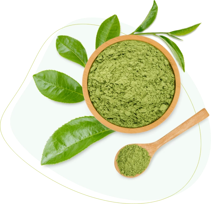 Matcha Extreme perte de poids saine et naturelle