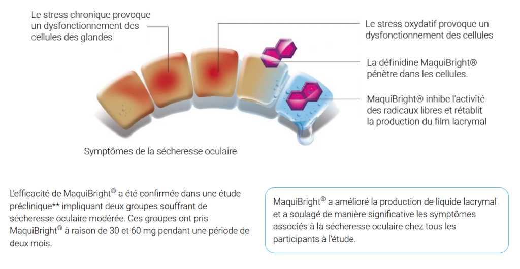 Eyevita Plus Prix